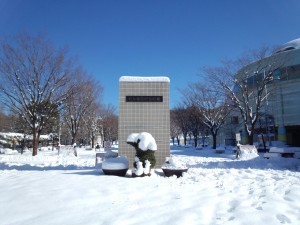 IMG_20140209_092957