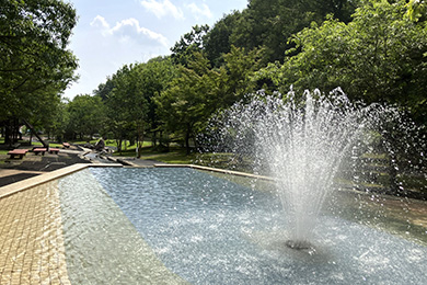 じゃぶじゃぶ池